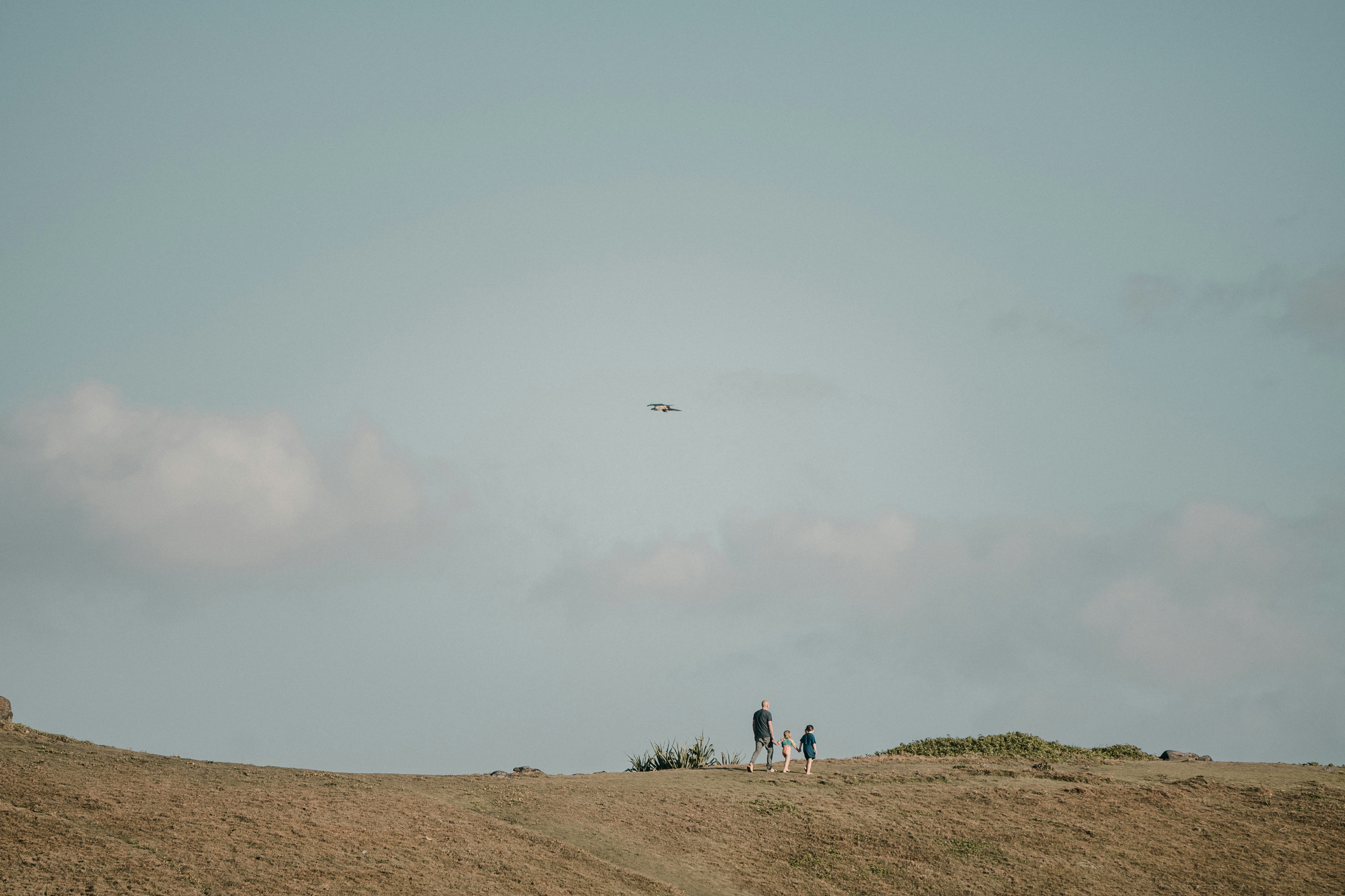 people walking on brown field under white clouds during daytime